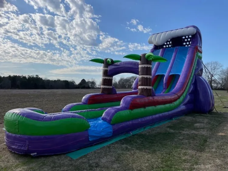 Purple Plummet 22' Wet/Dry Dual Lane Slide