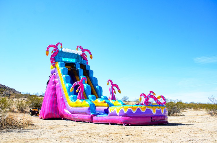 Mysterious Jungle 19' Wet/Dry Single Lane Slide